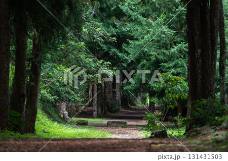 台湾 レジャーアクティビティ 余暇活動 131431503