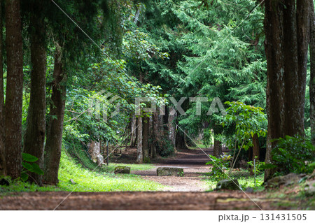 台湾 レジャーアクティビティ 余暇活動 131431505