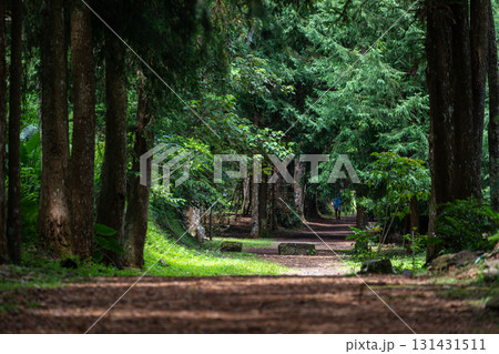 台湾 レジャーアクティビティ 余暇活動 131431511