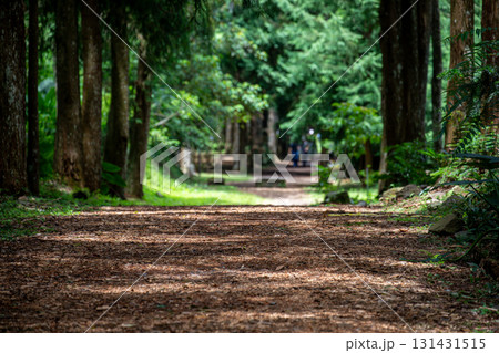 台湾 レジャーアクティビティ 余暇活動 131431515