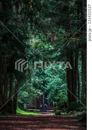 台湾 レジャーアクティビティ 余暇活動 131431527