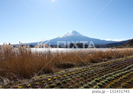 View of landscape fuji mountain in winter at Lake Kawaguchi View of landscape fuji mountain in winter at Lake Kawaguchi 131431745