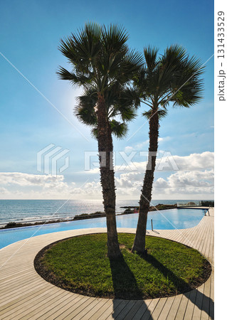 Palm trees by infinity pool at the coast Palm trees by infinity pool at the coast 131433529