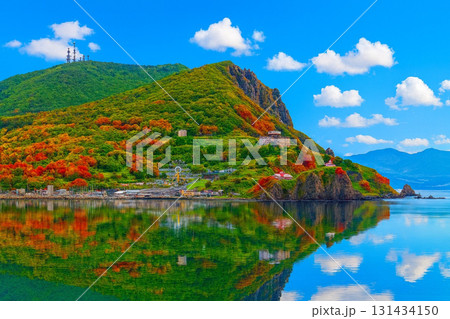 積丹半島の紅葉 131434150