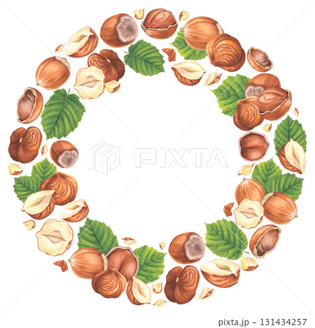 Shelled hazelnuts and chopped pieces with green leaves. Hand drawn watercolor illustration of forest filbert nuts on isolated background. Circle frame for label, packaging design. Healthy organic food 131434257