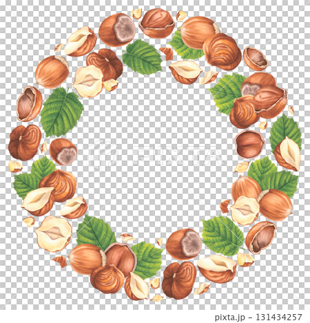 Shelled hazelnuts and chopped pieces with green leaves. Hand drawn watercolor illustration of forest filbert nuts on isolated background. Circle frame for label, packaging design. Healthy organic food 131434257