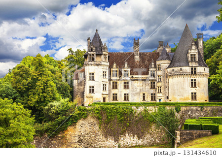 beautiful castles of France - Puyguilhem, Dordogne provence 131434610