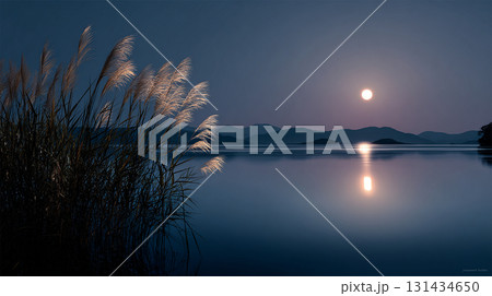 湖面に映る満月と輝くススキ 湖面に映る満月と輝くススキ 131434650
