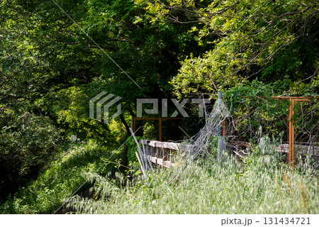 【安比奈線】廃線跡に残る橋桁 【安比奈線】廃線跡に残る橋桁 131434721