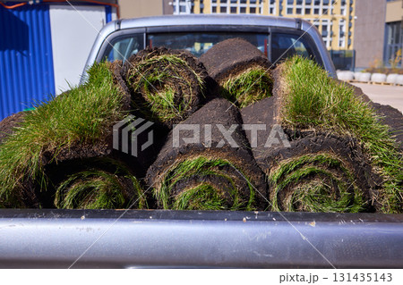 Freshly Cut Grass Rolls Ready for Landscaping and Enhancing the Beauty of Your Yard Freshly Cut Grass Rolls Ready for Landscaping and Enhancing the Beauty of Your Yard 131435143