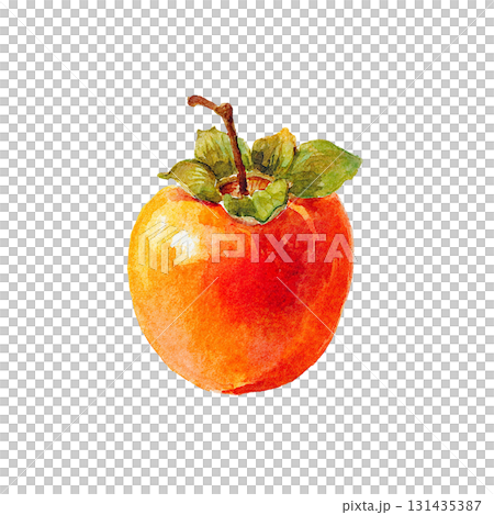 Illustration of a ripe persimmon: Hand-drawn cutout material depicting the taste of autumn (Cutout PNG) 131435387
