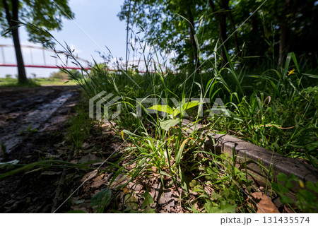 【安比奈線】公園に残る廃線跡 131435574