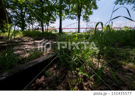 【安比奈線】公園に残る廃線跡 【安比奈線】公園に残る廃線跡 131435577