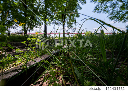【安比奈線】公園に残る廃線跡 【安比奈線】公園に残る廃線跡 131435581