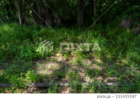 【安比奈線】公園に残る廃線跡 131435597