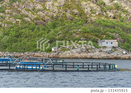 Fish farming cages and floating structures stand against a rocky shore with green hills and small wooden houses Fish farming cages and floating structures stand against a rocky shore with green hills and small wooden houses 131435915