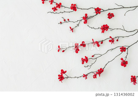 白背景に咲く紅梅の枝と花の和風背景 白背景に咲く紅梅の枝と花の和風背景 131436002