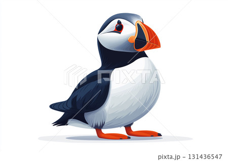 Puffin bird wildlife nature with colorful beak and atlantic illustration in a cute way Puffin bird wildlife nature with colorful beak and atlantic illustration in a cute way 131436547