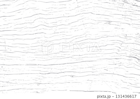 Tree bark texture Tree bark texture 131436617