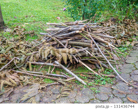 Brushwood on the ground. Work of landscaping services. Gardening. The cut branches are stacked before removal.  Improvement of the park Brushwood on the ground. Work of landscaping services. Gardening. The cut branches are stacked before removal.  Improvement of the park 131436744