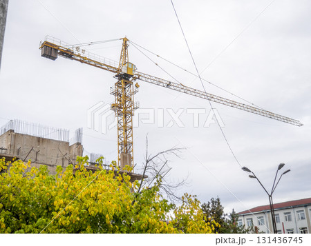 Crane over an abandoned construction site. Construction freeze. Crane over an abandoned construction site. Construction freeze. 131436745