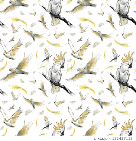 Seamless pattern. Parrots 131437112