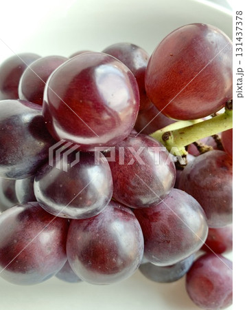 写真素材　美しく光っている秋の味覚ピオーネ　 131437378