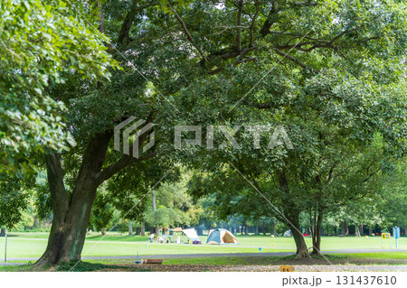 「埼玉県」秋ヶ瀬公園の風景 131437610