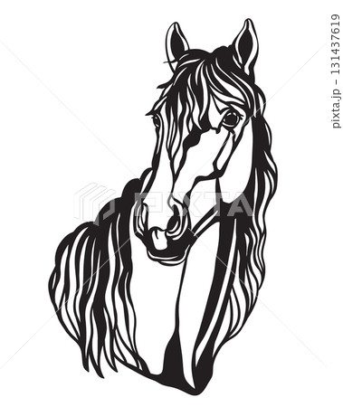 Beautiful horse illustration template vector isolated illustration 131437619