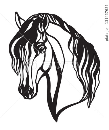 Beautiful head of horse with long mane vector illustration 131437623