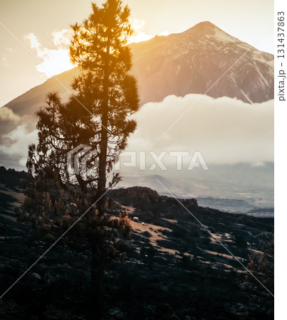 A volcano Teide and mountains among clouds at sunset. A volcano Teide and mountains among clouds at sunset. 131437863