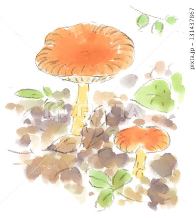 秋の風景、オレンジ色のキノコ(おそらくタマゴタケ)の水彩画イラスト 秋の風景、オレンジ色のキノコ(おそらくタマゴタケ)の水彩画イラスト 131437867