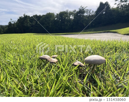 ゴルフ場の日常 131438060