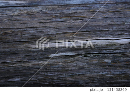 樹皮 丸太 樹皮 丸太 131438269