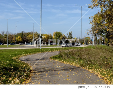 Autumn pathway near busy road 131439449