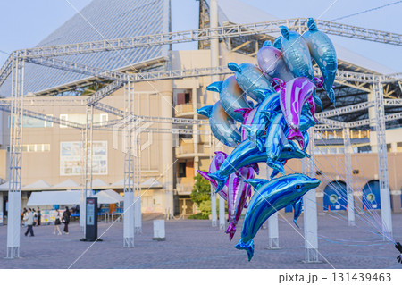 八景島シーパラダイス イルカの風船 夏の風景 八景島シーパラダイス イルカの風船 夏の風景 131439463