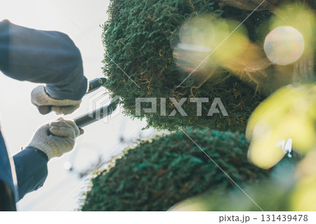 Japanese Gardener Japanese Gardener 131439478