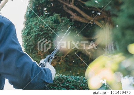 Japanese Gardener 131439479