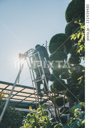 Japanese Gardener Japanese Gardener 131439480
