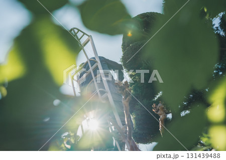 Japanese Gardener 131439488