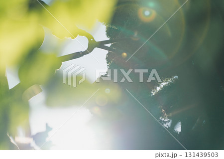 Japanese Gardener 131439503