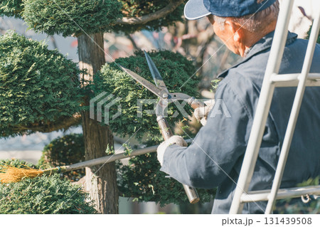 Japanese Gardener 131439508