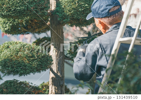 Japanese Gardener Japanese Gardener 131439510