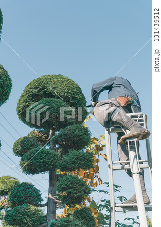 Japanese Gardener 131439512