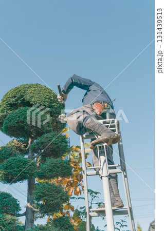 Japanese Gardener 131439513