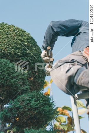 Japanese Gardener 131439514