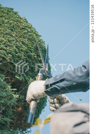 Japanese Gardener 131439516