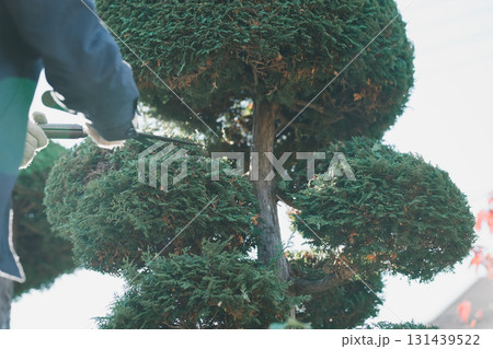 Japanese Gardener 131439522