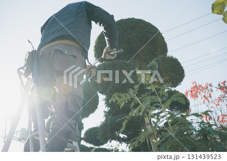 Japanese Gardener 131439523