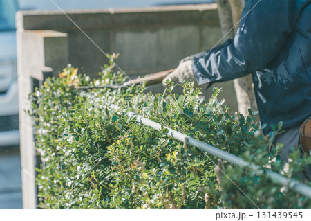 Japanese Gardener 131439545